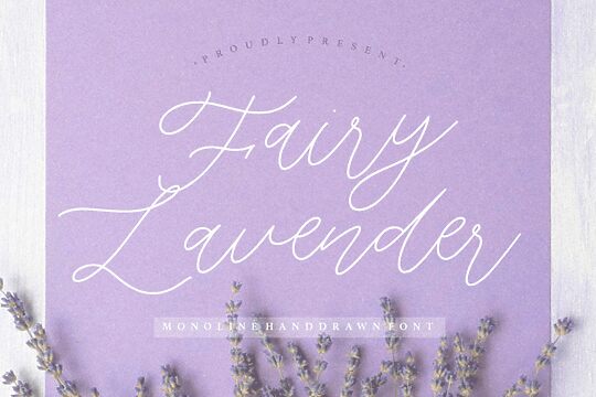 Fairy Lavender