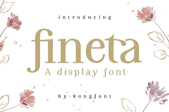 Fineta