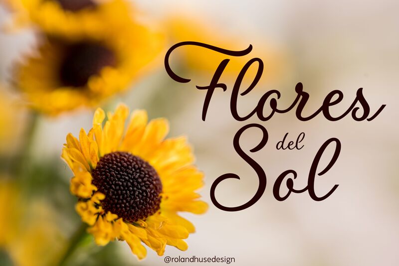 Flores del Sol