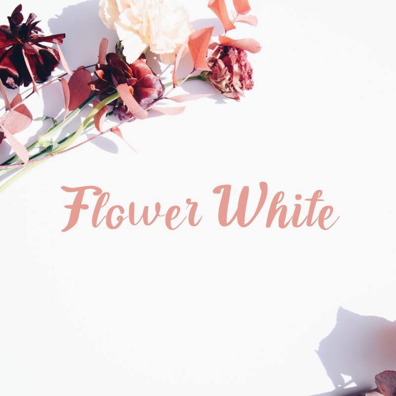 Flower White