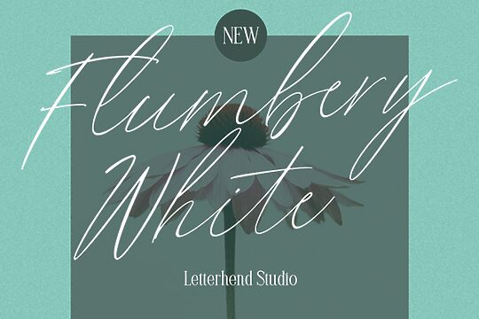 Flumbery White