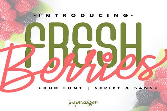 Fresh Berries Script