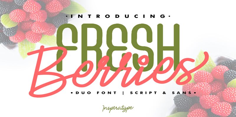 Fresh Berries Script