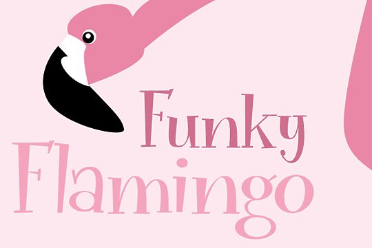 Funky Flamingo