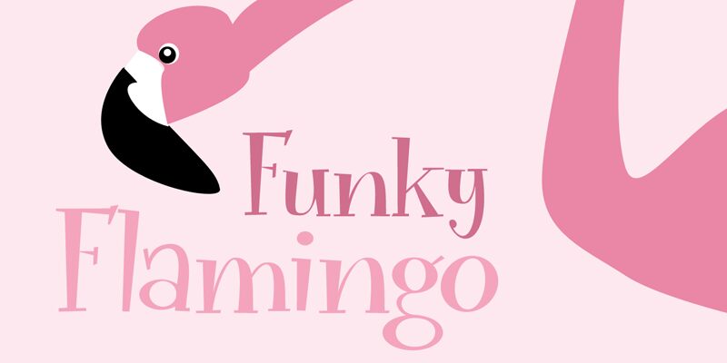 Funky Flamingo