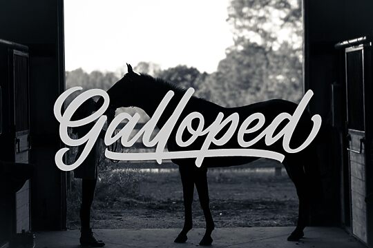 Galloped