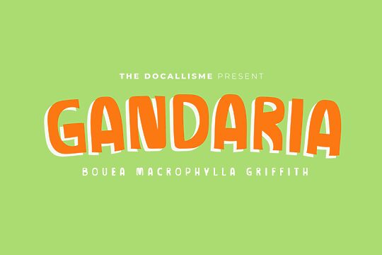 Gandaria