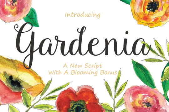 Gardenia