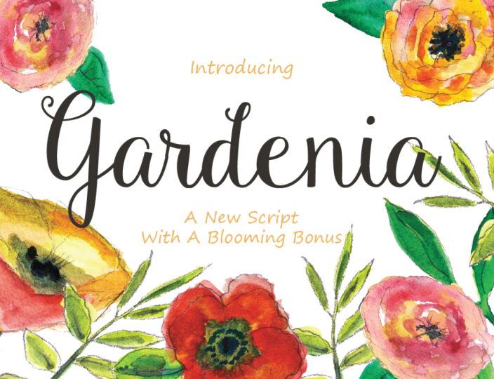 Gardenia