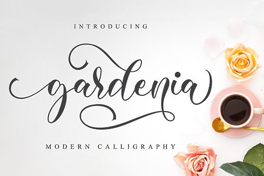 Gardenia