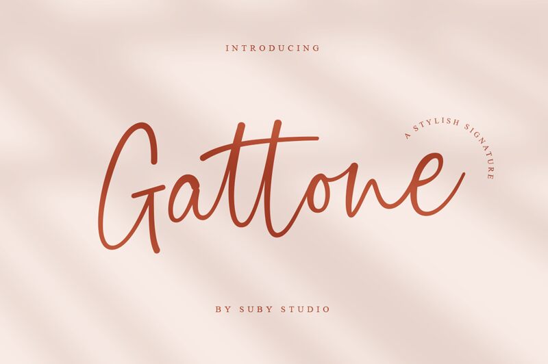 Gattone