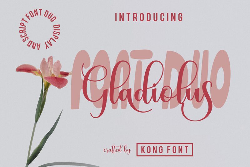 Gladiolus Script