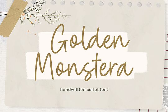 Golden Monstera