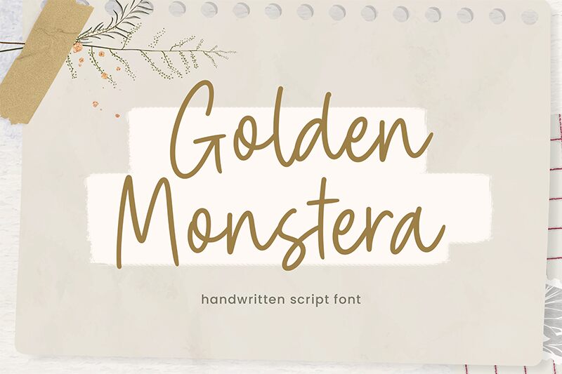 Golden Monstera