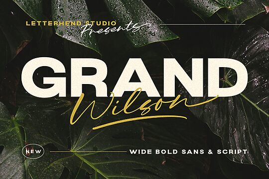 Grand Wilson Sans