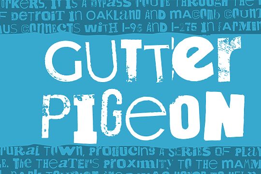 Gutter Pigeon