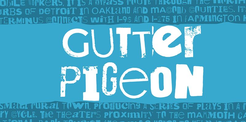 Gutter Pigeon