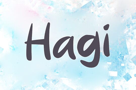 h Hagi