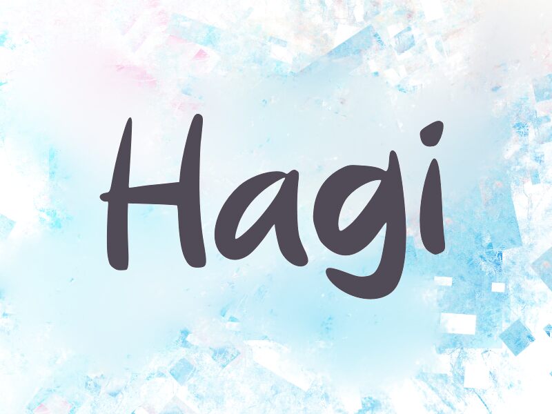 h Hagi