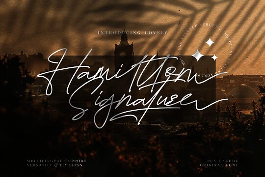 Hamiltton Signature