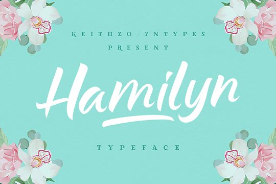 Hamilyn