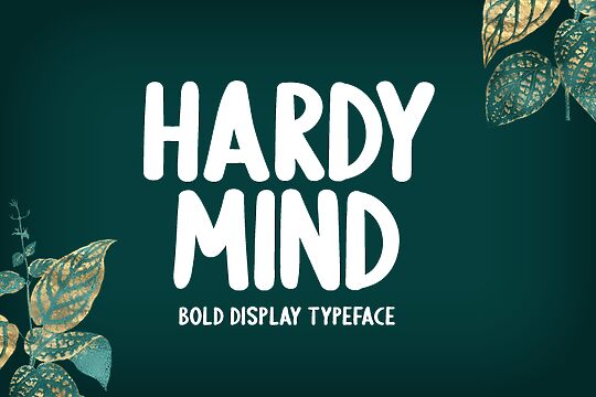 Hardy Mind