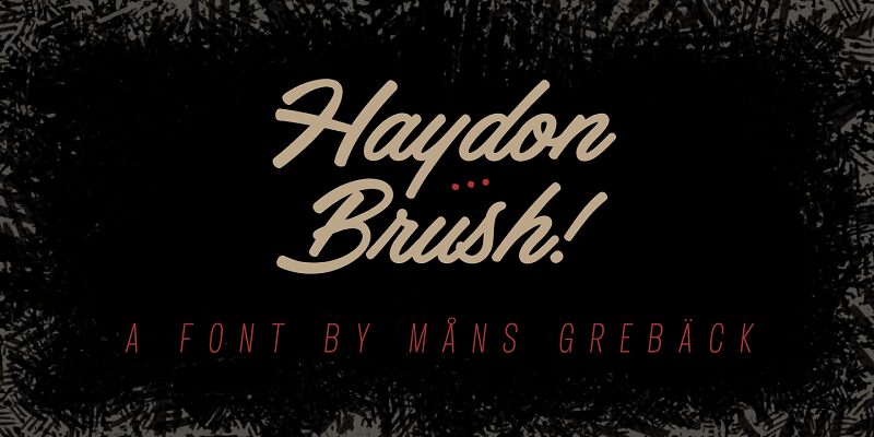 Haydon Brush