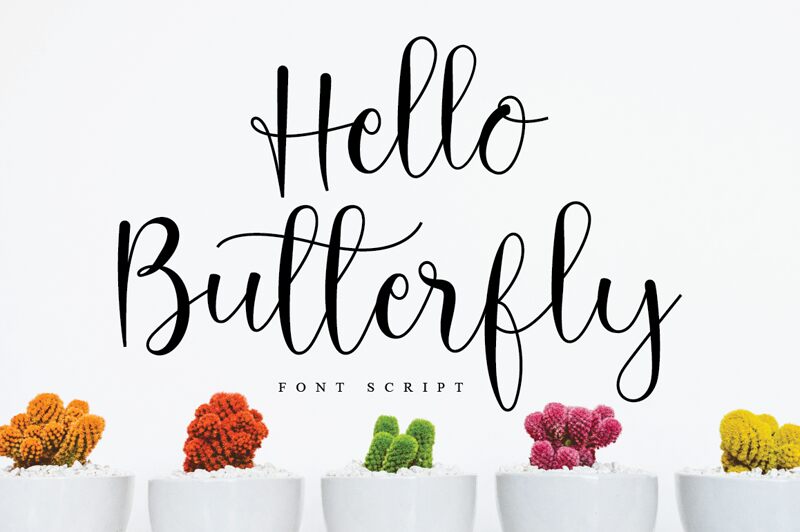 Hello Butterfly