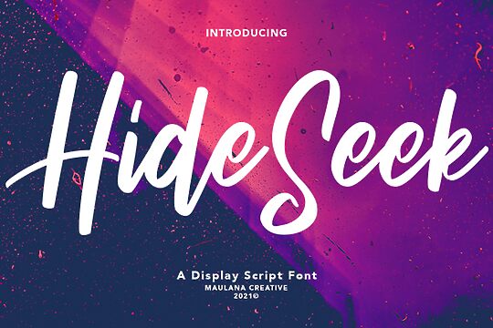 Hide Seek