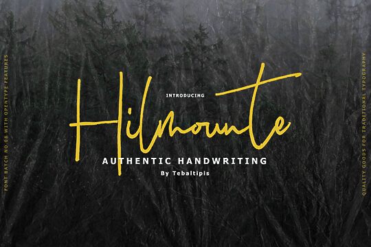 Hilmounte Signature