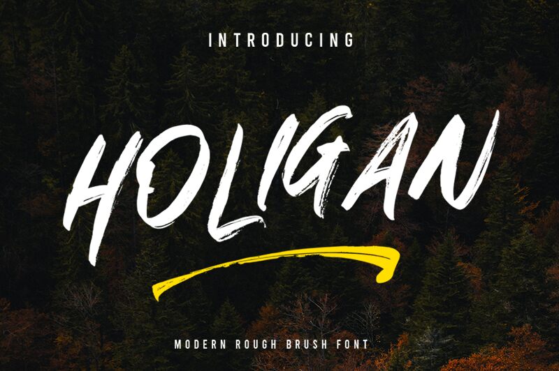 Holigan