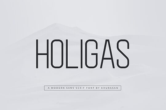 Holigas