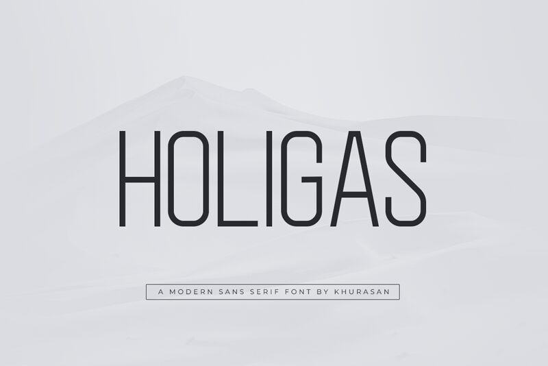 Holigas