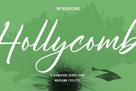 Hollycombs