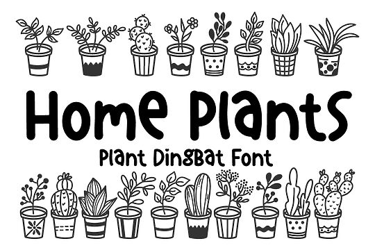 Home Plants