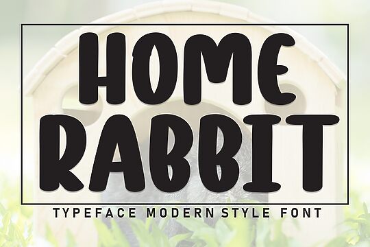 Home Rabbit