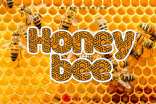 Honey Bee