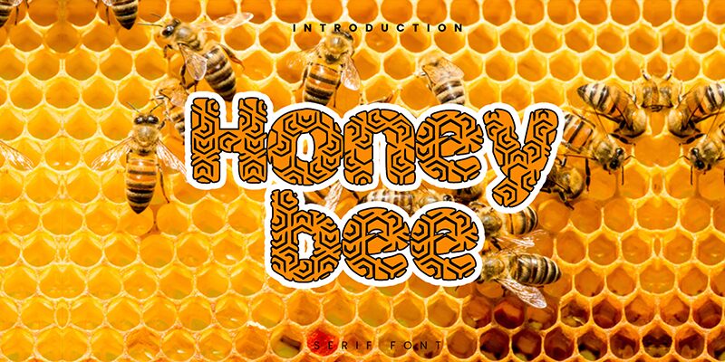 Honey Bee