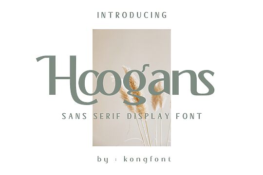 Hoogans