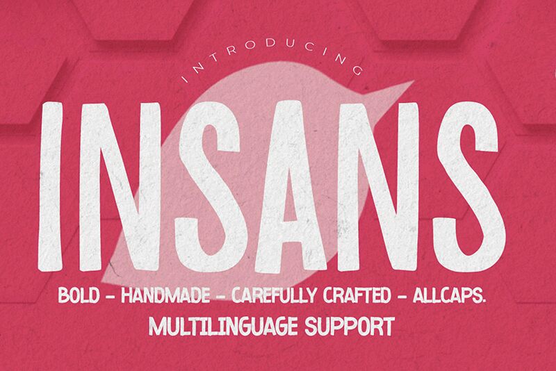 Insans