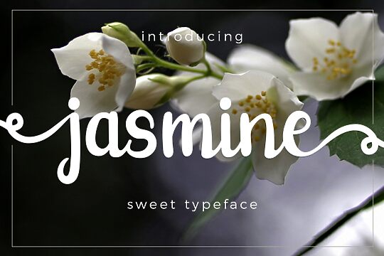 Jasmine