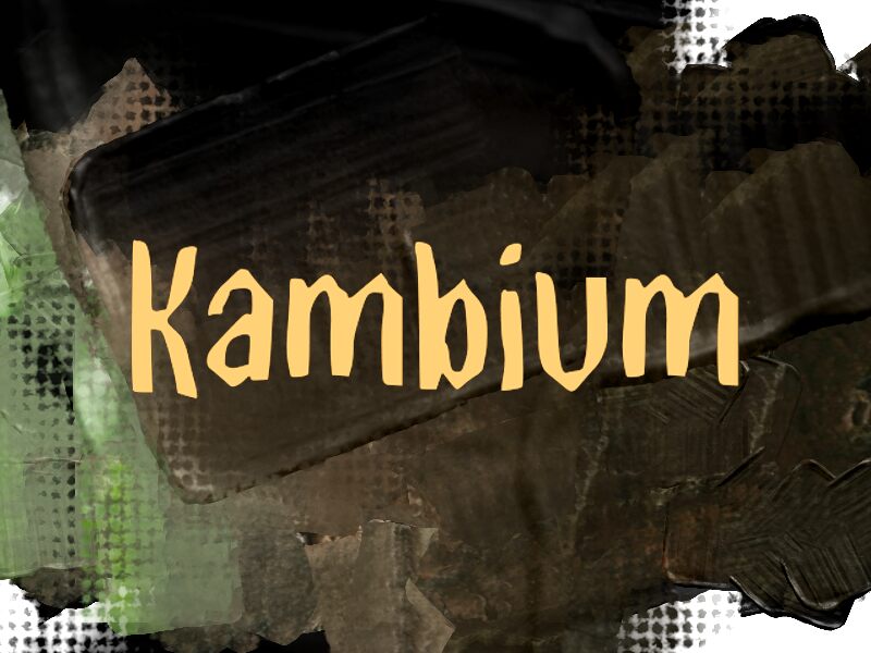 K Kambium