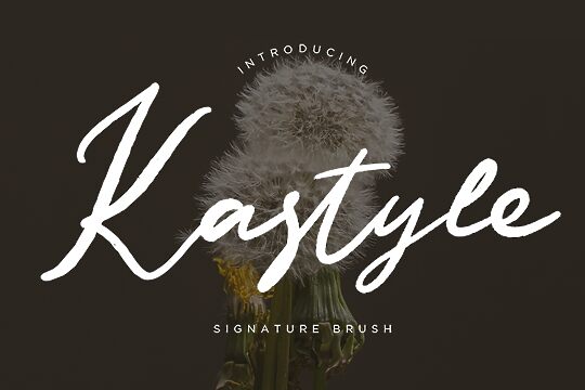 Kastyle