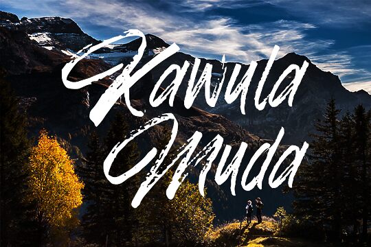 Kawula Muda