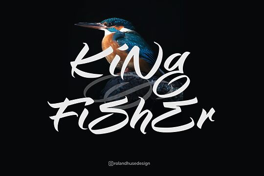 King Fisher