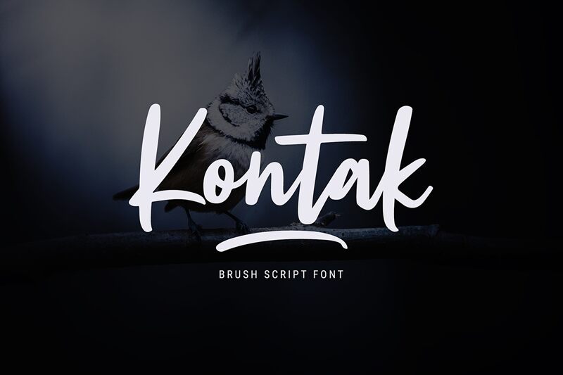 Kontak