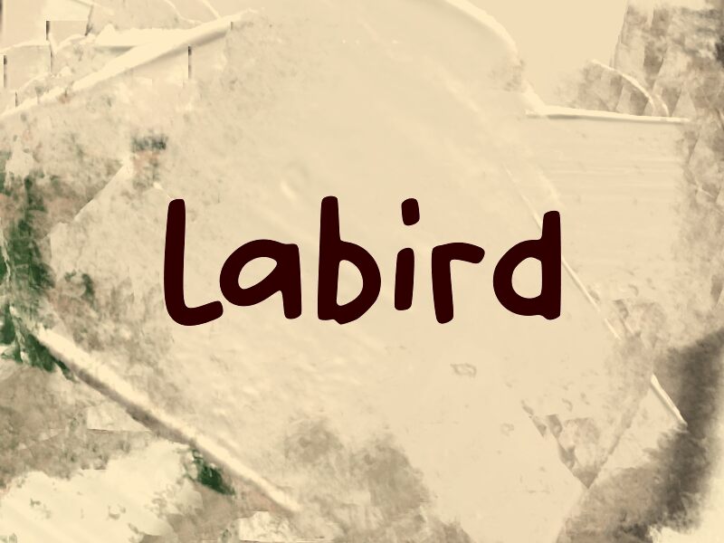 L Labird