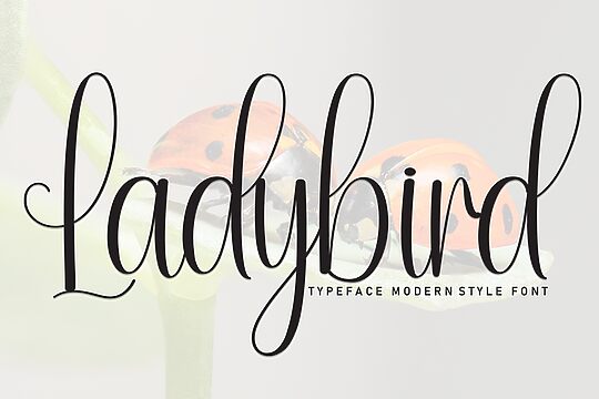 Ladybird