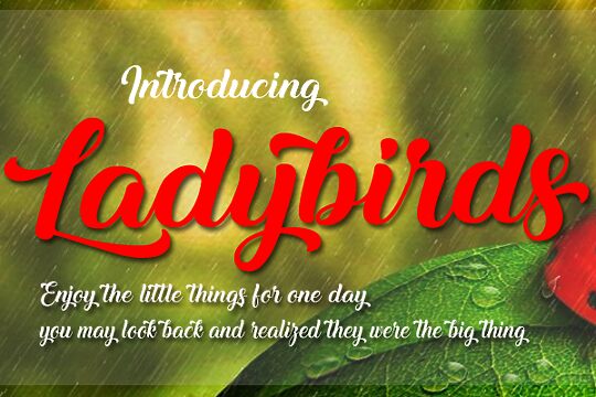 Ladybirds
