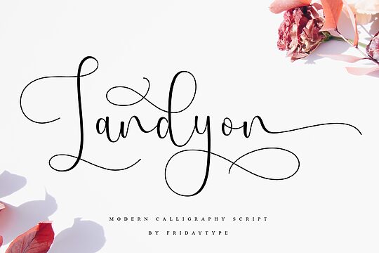 Landyon Script